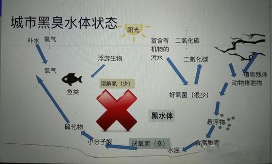 江蘇億元投資治污新技術(shù) 石墨烯能否治理黑臭水體？