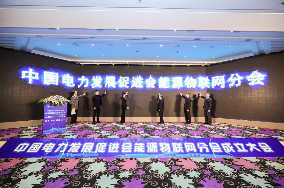 中國電力發(fā)展促進會能源物聯(lián)網分會在京成立
