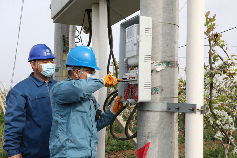 國網(wǎng)諸城市供電公司電力足，千畝梨園花正濃