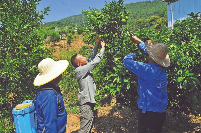 王國洲：把村事當家事，把村民當親人