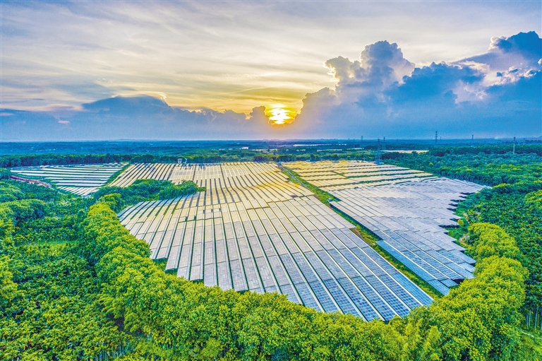 海南電網(wǎng)公司加快構(gòu)建現(xiàn)代供電服務(wù)體系，驅(qū)動鄉(xiāng)村振興電力引擎