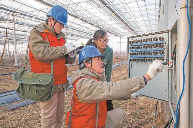 江蘇省新沂市：優(yōu)質(zhì)服務送上門 水蜜桃富了老范村