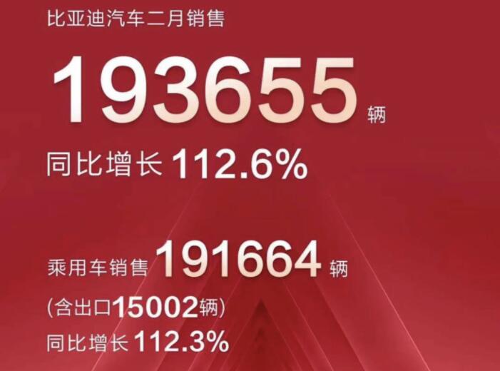 2月新能源車企成績單出爐，比亞迪一騎絕塵