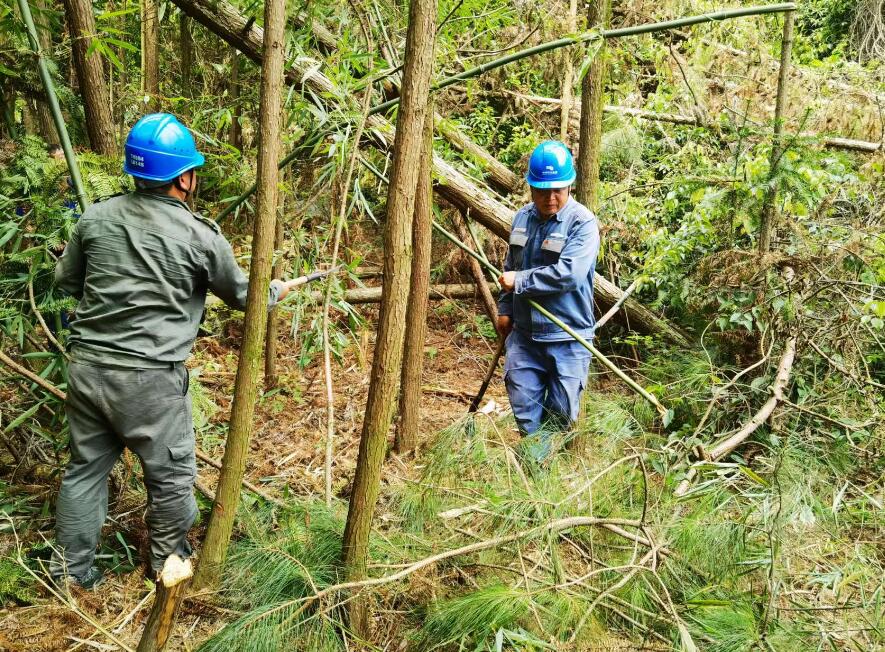 南方電網(wǎng)荔波供電局線路憂患如“猛獸”，通道清通要爭先