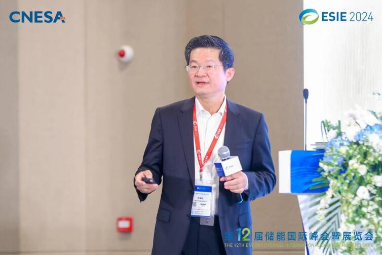 林澤波：儲能企業(yè)出海不是價格競爭，而是以定制優(yōu)質(zhì)產(chǎn)品和服務(wù)實現(xiàn)可持續(xù)發(fā)展