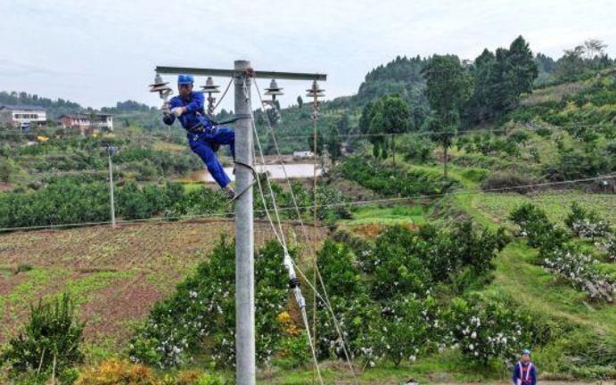 四川眉山升級改造電網(wǎng)助力柑橘產業(yè)結“致富果”