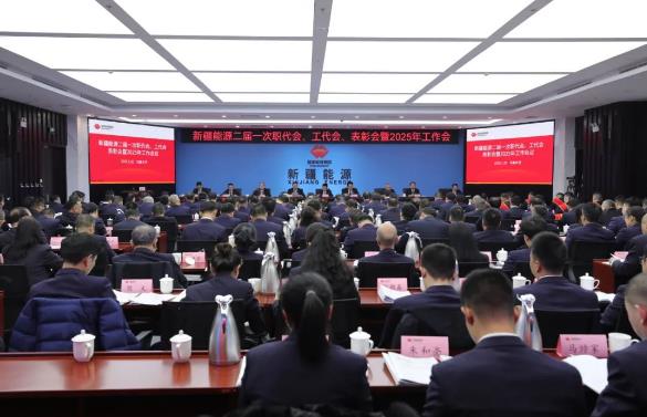 國能新疆能源召開二屆一次職代會、工代會、表彰會暨2025年工作會