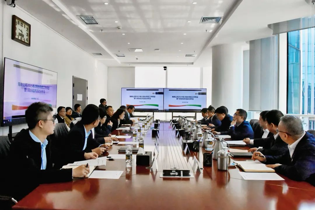 國家電投海南公司召開2月份月度工作例會暨1月份經(jīng)濟(jì)活動(dòng)分析會