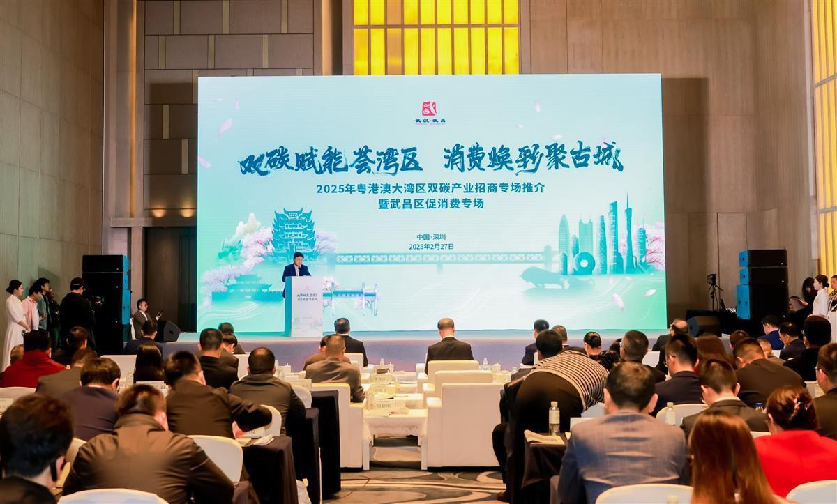 南下大灣區(qū)引來百億“綠色”項目，堅持為碳排放“買單”成新風氣